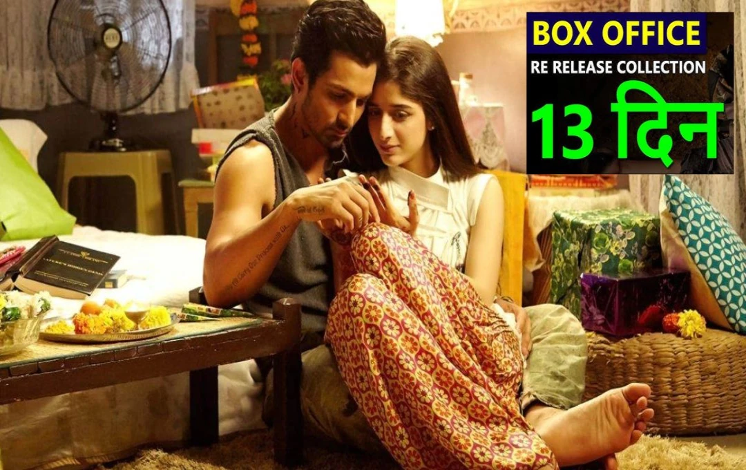 Sanam Teri Kasam Collection Day 13: छावा को बराबर टक्कर दे रही सनम तेरी कसम, फिल्म ने 13वें दिन भी जमकर की कमाई 
