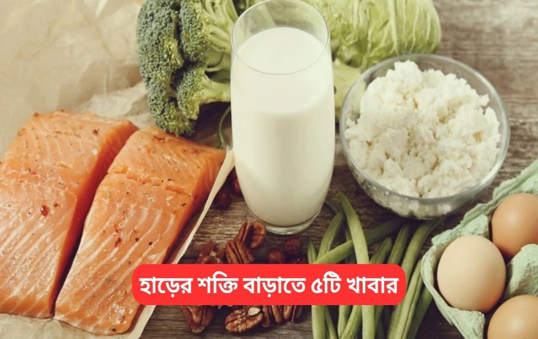 হাড়ের শক্তি বাড়াতে ৫টি খাবার, দুধ না খেলেও শক্তিশালী হাড় পেতে সাহায্য করবে