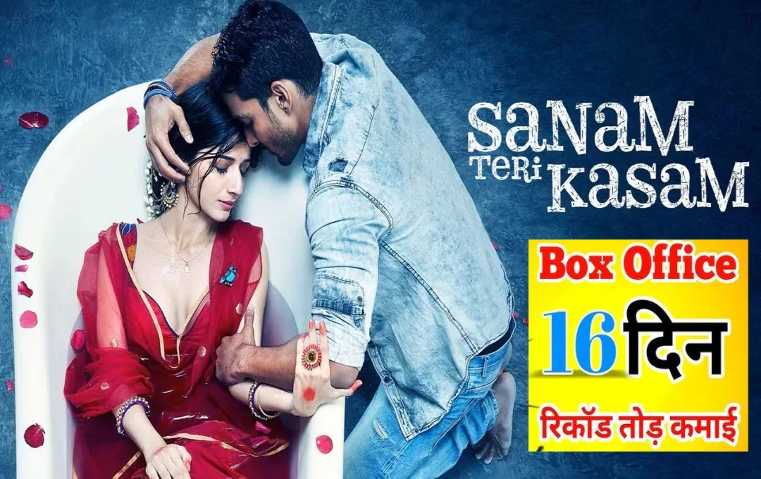 Sanam Teri Kasam Collection Day 16: 'सनम तेरी कसम' की री-रिलीज ने फिर मचाया धमाल, 16वें दिन बढ़ी कमाई, बॉक्स ऑफिस पर जादू कायम