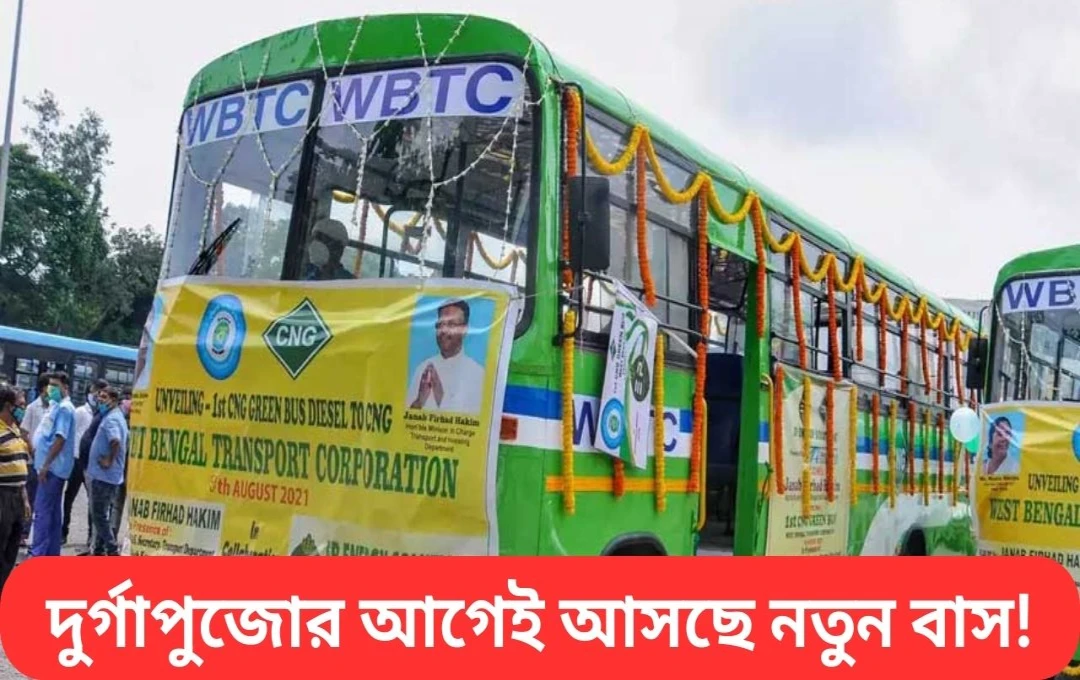দুর্গাপুজোর আগেই শহরের রাস্তায় নামছে ২০০টি সিএনজি বাস, বরাদ্দ ১২৫ কোটি টাকা!