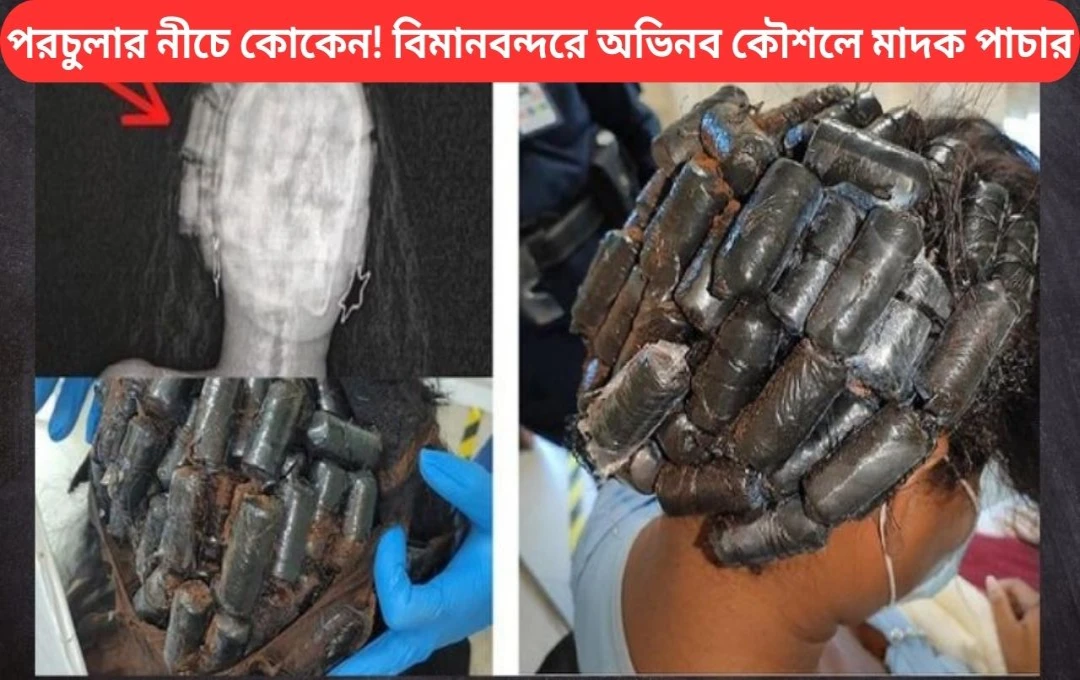পরচুলার নীচে কোকেন! বিমানবন্দরে অভিনব কৌশলে মাদক পাচার, গ্রেফতার অভিযুক্ত