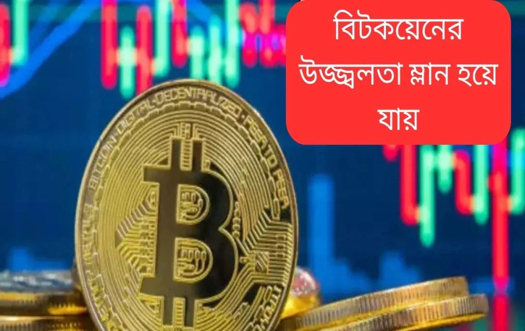 বিটকয়েনের দাম ৯০,০০০ ডলারের নিচে: ক্রিপ্টো বাজারে আবারও অস্থিরতা