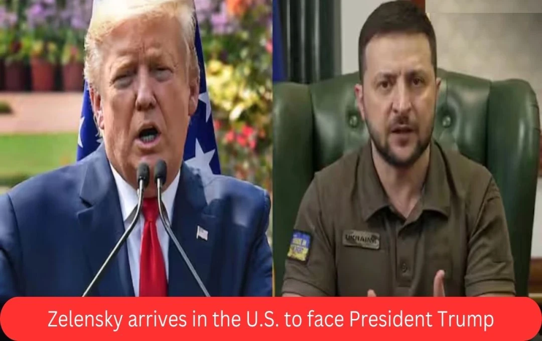 Zelenskyy's US Visit: Anticipated Trump Meeting Sparks Debate Over Ukraine's Resource Deal