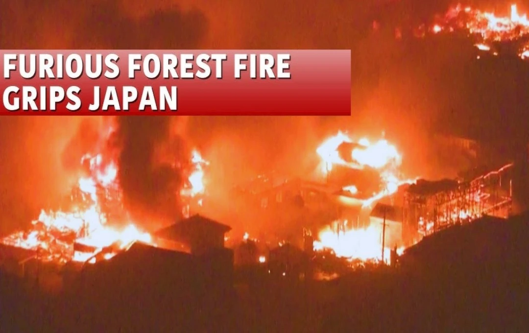 Devastating Wildfire in Ofunato, Japan, Claims One Life, Destroys 80 Buildings