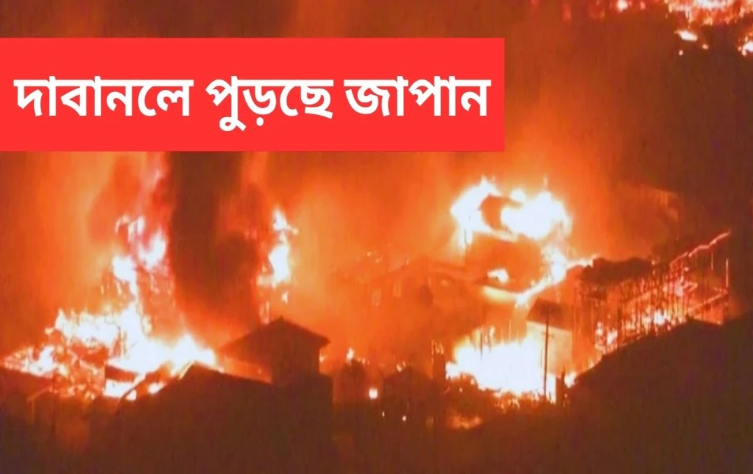 ওফুনাতোয় ভয়াবহ বনানীলে একজনের মৃত্যু, ৮০টি ভবন পুড়ে ছাই