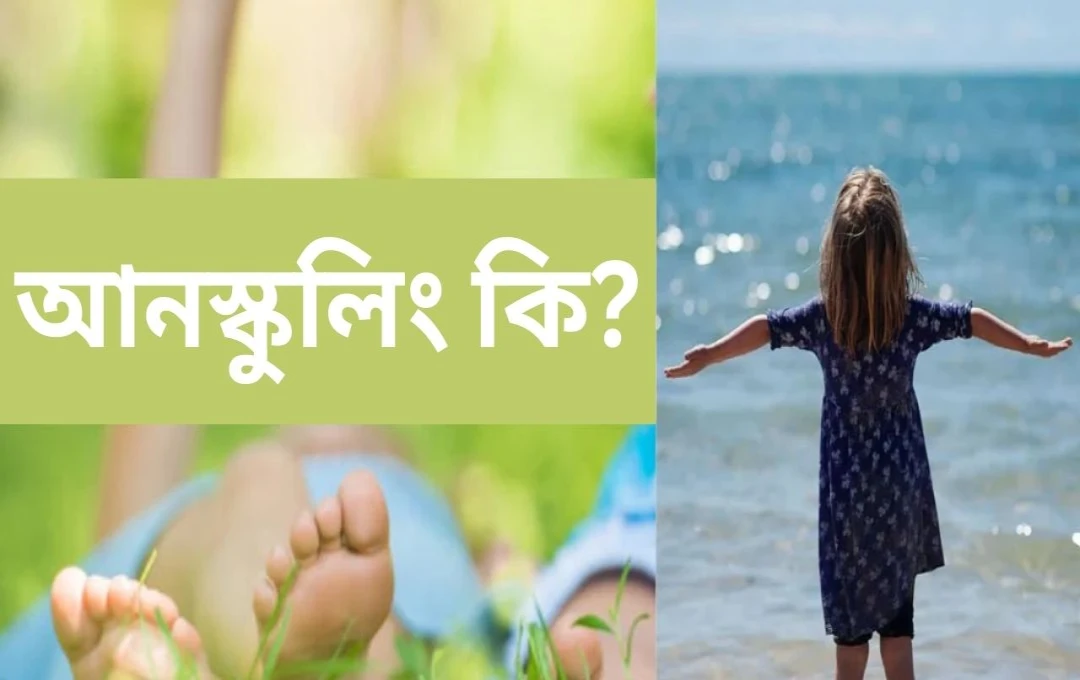 অনস্কুলিং: ভারতে এই বিকল্প শিক্ষাপদ্ধতির বর্তমান অবস্থা