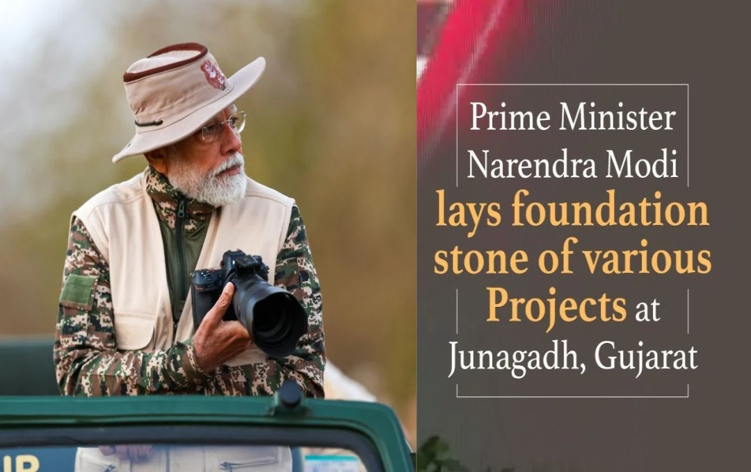 Modi Announces Major Investments in Asiatic Lion Conservation