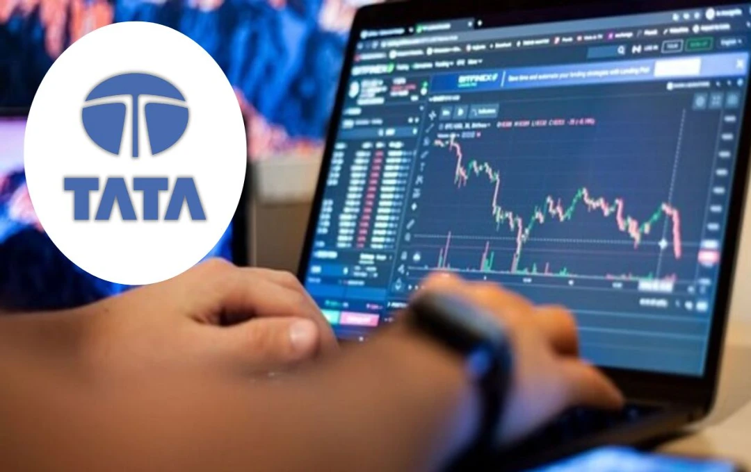 Sharp Decline in Tata Group Share Prices