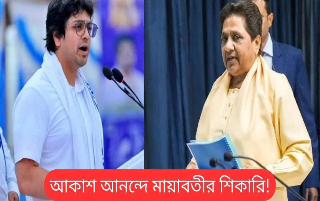 বসপা-তে উত্তরাধিকারী আকাশ আনন্দের বহিষ্কার: ভাইরাল বক্তৃতায় কী ছিল?