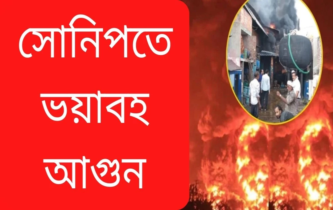 সোনিপতের ফিরোজপুরে ভয়াবহ অগ্নিকাণ্ড: তিনটি কারখানা পুড়ে ছাই