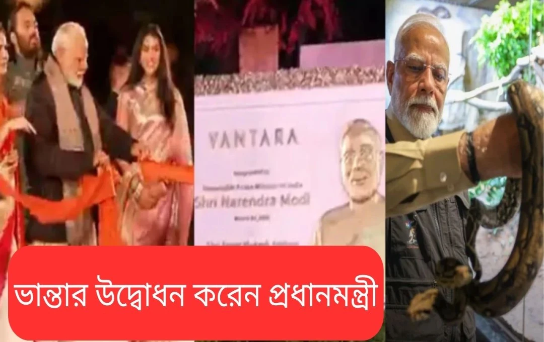 মোদী 'বনতারা' বন্যপ্রাণী কেন্দ্রের উদ্বোধন