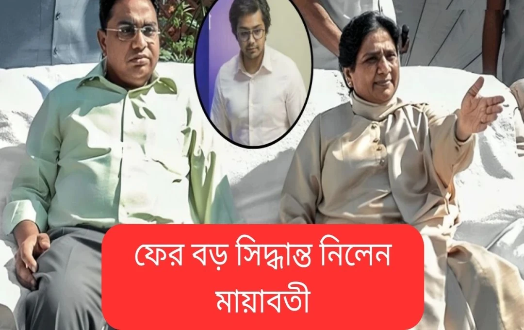 মায়াবতী ভাই আনন্দ কুমারকে বসপার জাতীয় সমন্বয়ক পদ থেকে অপসারিত