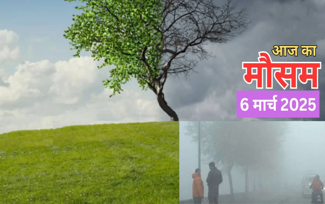 Weather Update: दिल्ली में सर्दी और गर्मी का अनोखा मेल, पहाड़ों पर बर्फबारी जारी, जानें उत्तर भारत के मौसम का हाल 