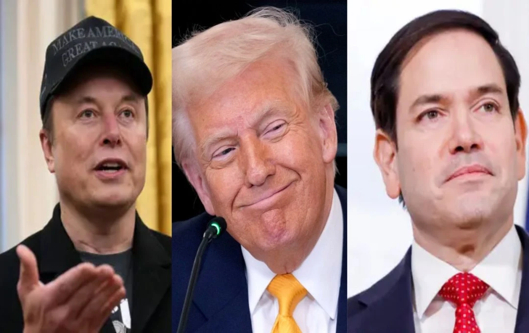 Musk and Rubio Clash in White House Meeting Over Layoffs