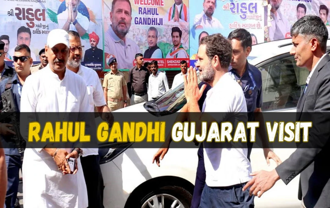 Rahul Gandhi Gujarat Visit: गुजरात में राहुल गांधी का बड़ा दावा, बोले - 'बीजेपी से जुड़े नेताओं को करेंगे बाहर'