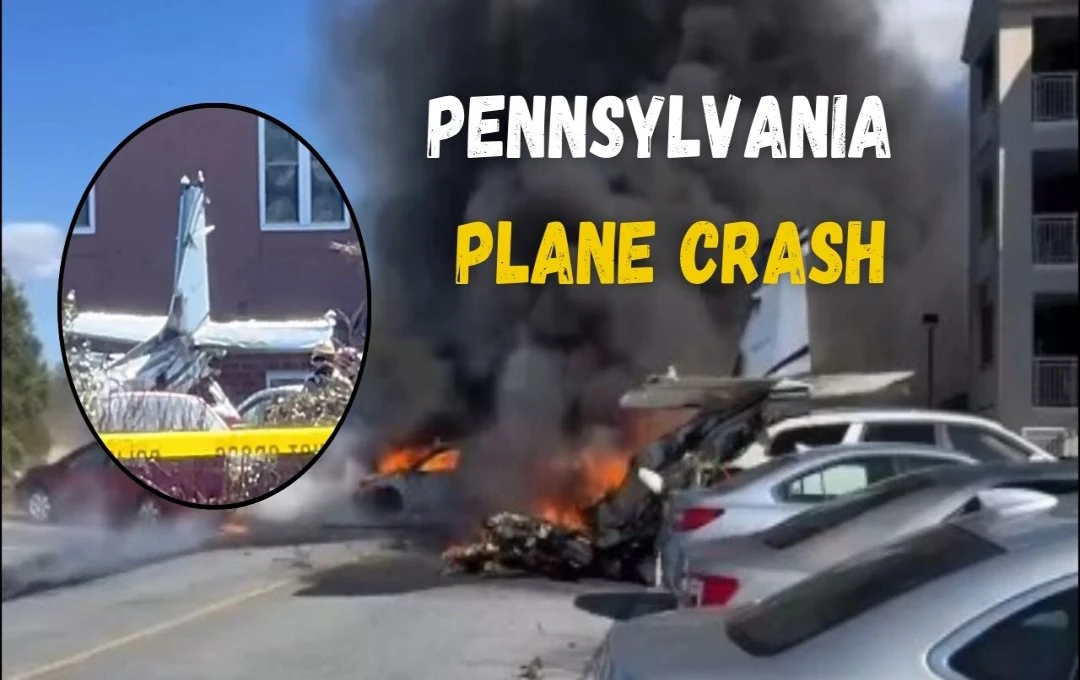 Pennsylvania Plane Crash: अमेरिका में सिंगल इंजन विमान क्रैश, आग के गोले में तब्दील हुआ प्लेन, सभी यात्री सुरक्षित