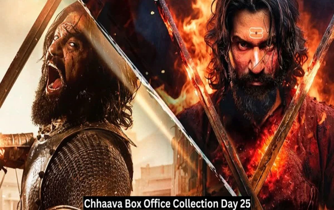 Chhaava Worldwide Box Office Collection: 'छावा' ने रचा इतिहास! 25वें दिन वर्ल्डवाइड 700 करोड़ का आंकड़ा पार