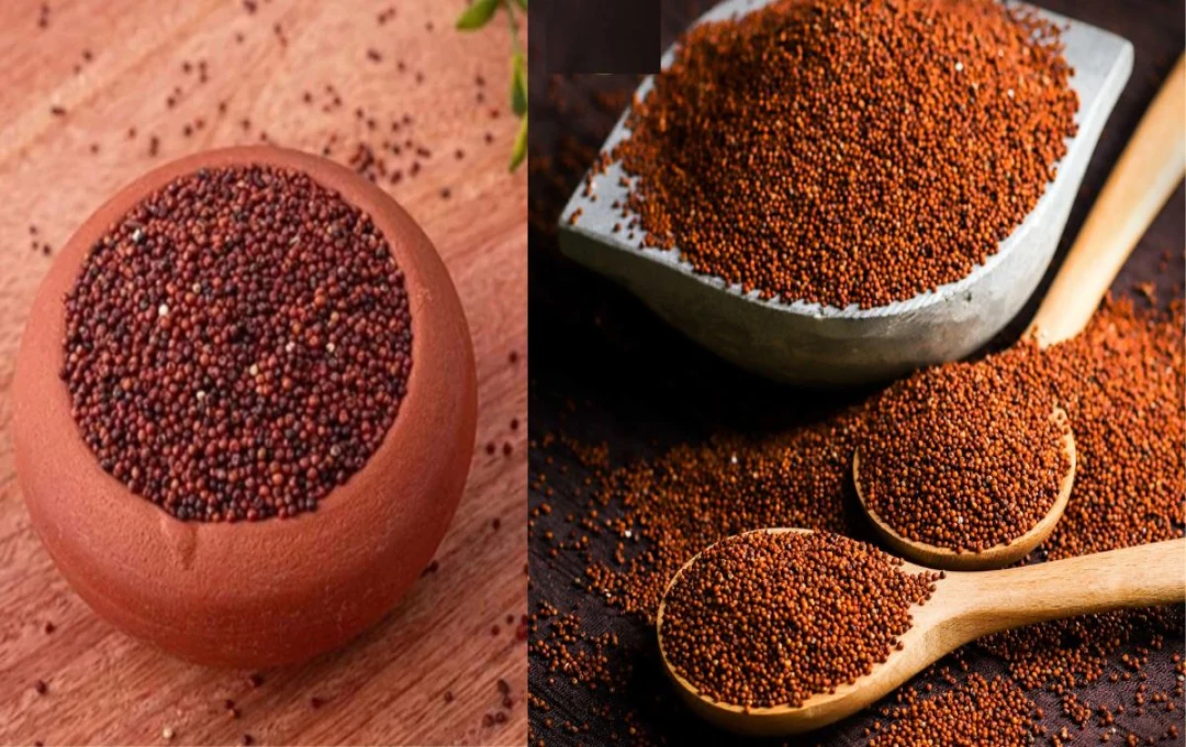 The Nutritional Powerhouse of Ragi: Vitamins, Benefits, and How to Include It in Your Diet