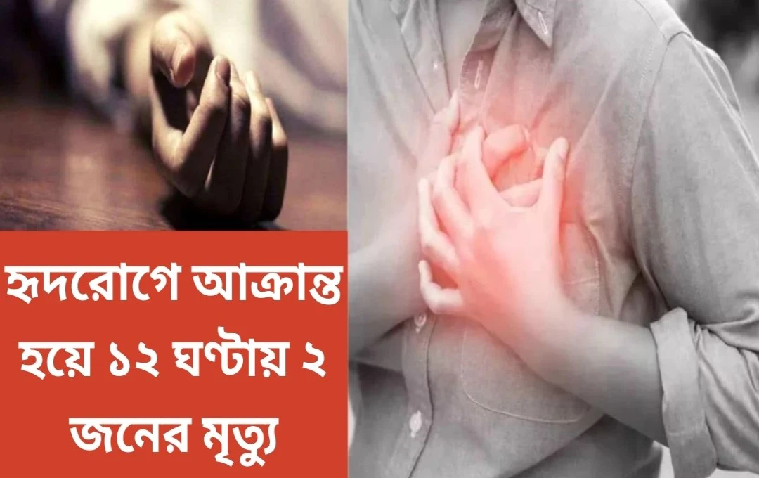 ১২ ঘণ্টায় একই পরিবারে দুটি মর্মান্তিক মৃত্যু