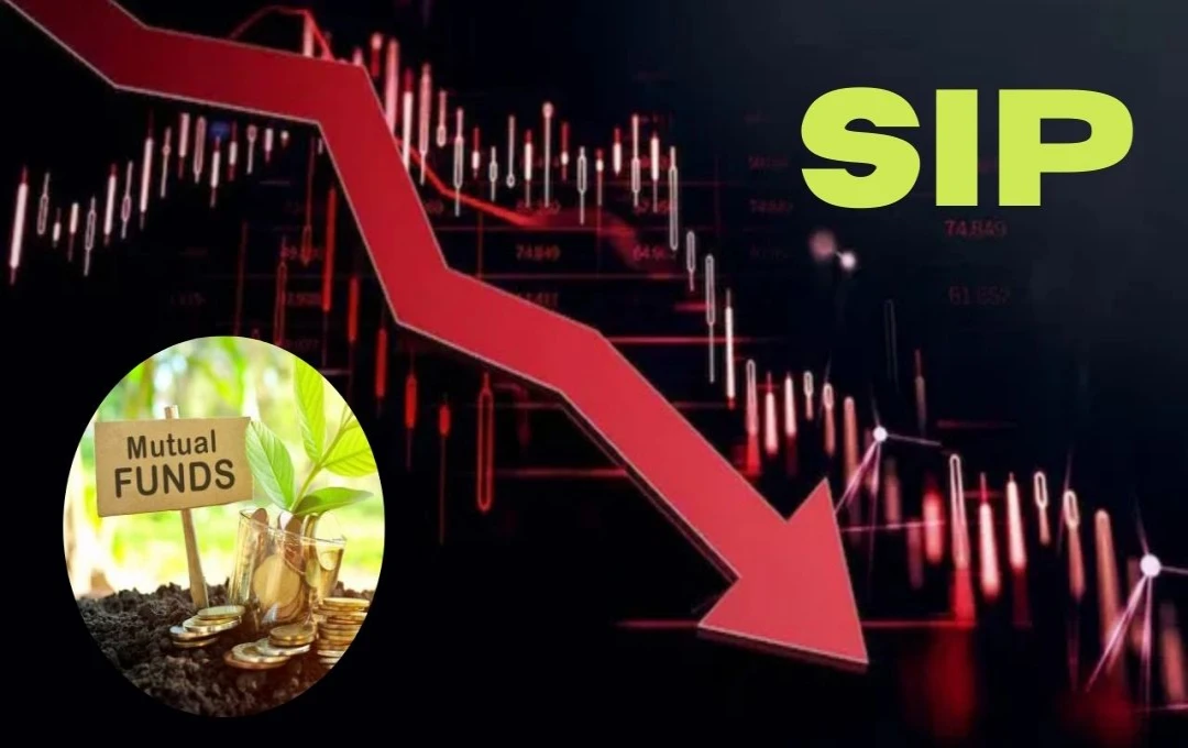 February 2025 Market Downturn Impacts Mutual Fund Investments