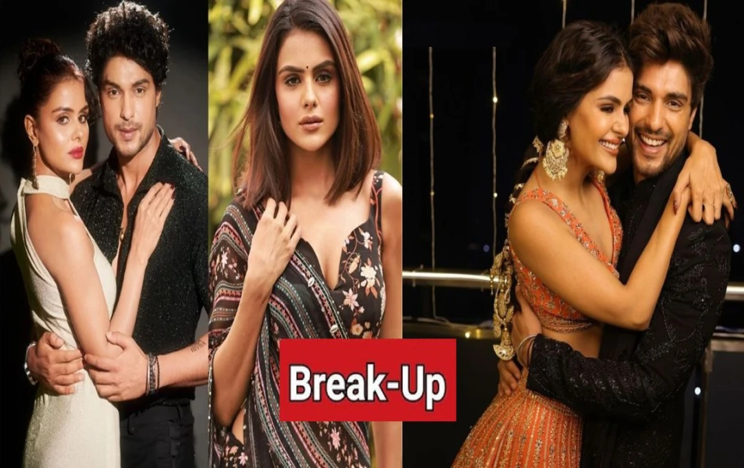 Priyanka Chahar-Ankit Gupta Break Up: प्रियंका चहर चौधरी और अंकित गुप्ता का ब्रेकअप? सोशल मीडिया पर किया अनफॉलो