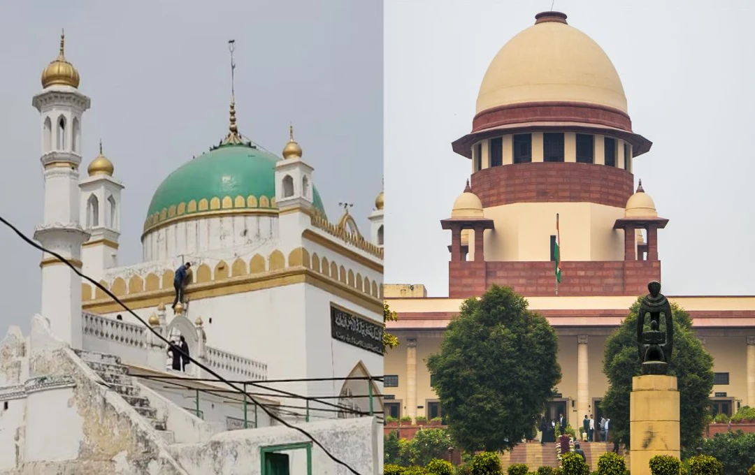 সম্ভলের শাহী জামে মসজিদের দেওয়াল প্লাস্টারিং শুরু