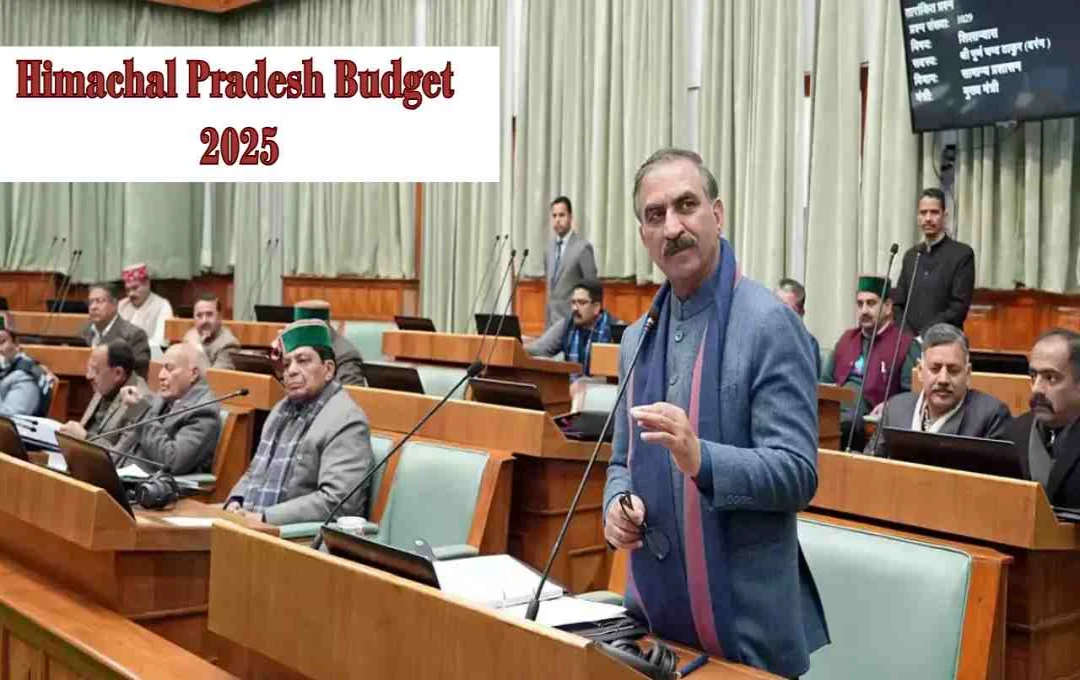 Himachal Pradesh Budget 2025: मुख्यमंत्री सुक्खू की बड़ी घोषणा! दूध उत्पादकों को मिली राहत, जानें कितने का हुआ इजाफा