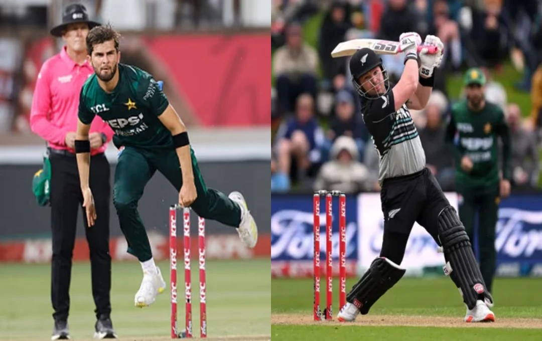 NZ vs PAK 2nd T20: टिम सीफर्ट ने की छक्कों की बरसात, शाहीन अफरीदी के नाम जुड़ा शर्मनाक रिकॉर्ड
