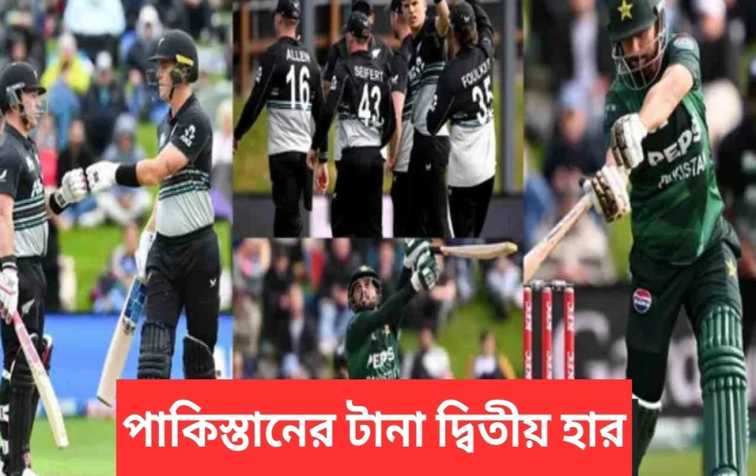 নিউজিল্যান্ডের বিজয়ে ২-০ ব্যবধানে এগিয়ে