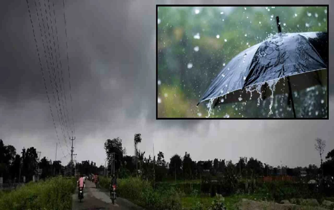 Northern India Weather: Delhi Sizzles, While Other States Brace for Rain and Strong Winds