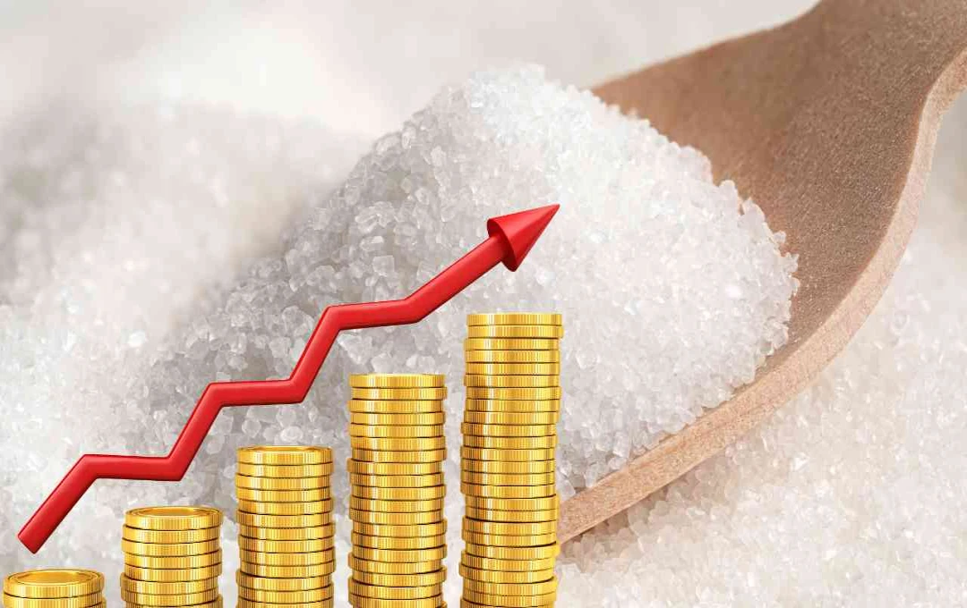 Sugar Stocks में जबरदस्त उछाल, निवेशकों को हुआ तगड़ा मुनाफा