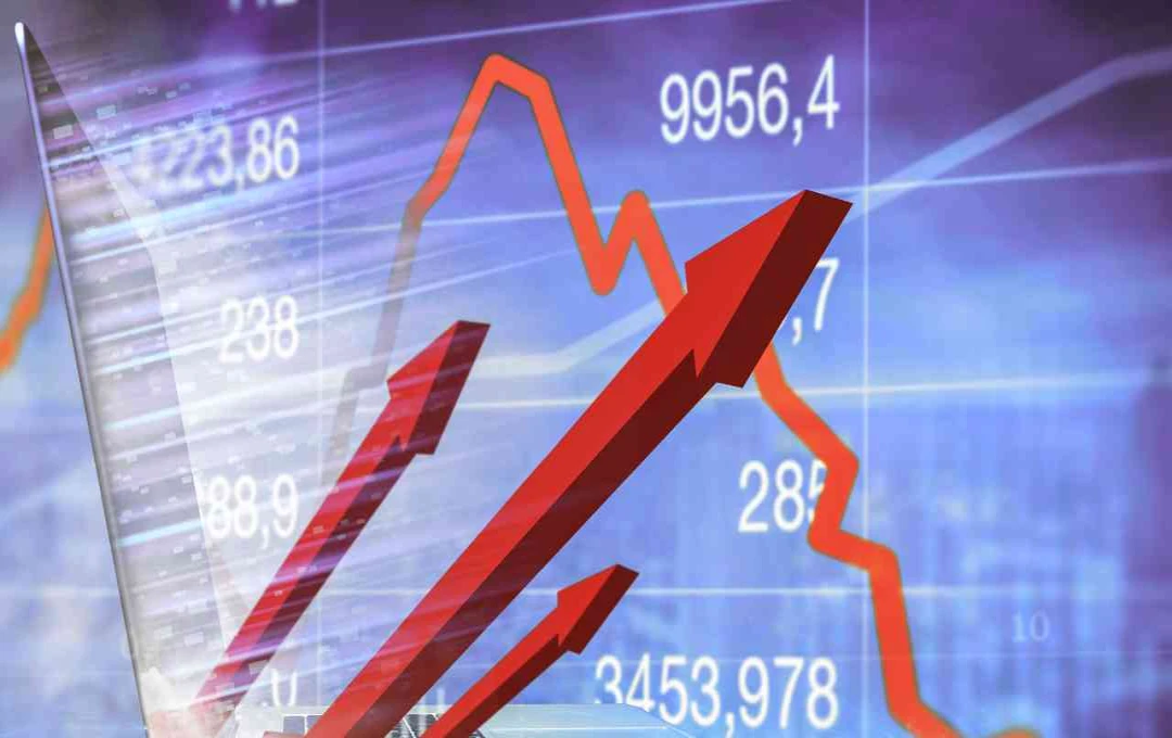 Motilal Oswal Recommends Buying LT Foods with ₹460 Target Price