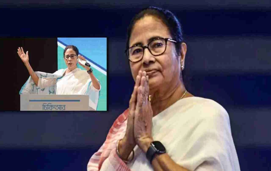 Mamata Banerjee's London Trip: Addresses False Propaganda and Condemns Nagpur Violence