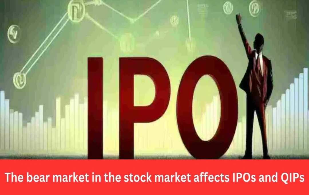 Indian IPO Market Slowdown in 2025 Amidst Market Correction