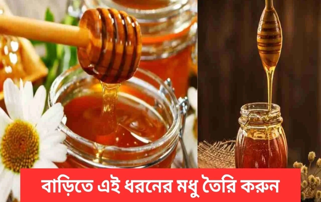 ৩টি উপকরণে ঘরে তৈরি করুন বিশুদ্ধ মধু
