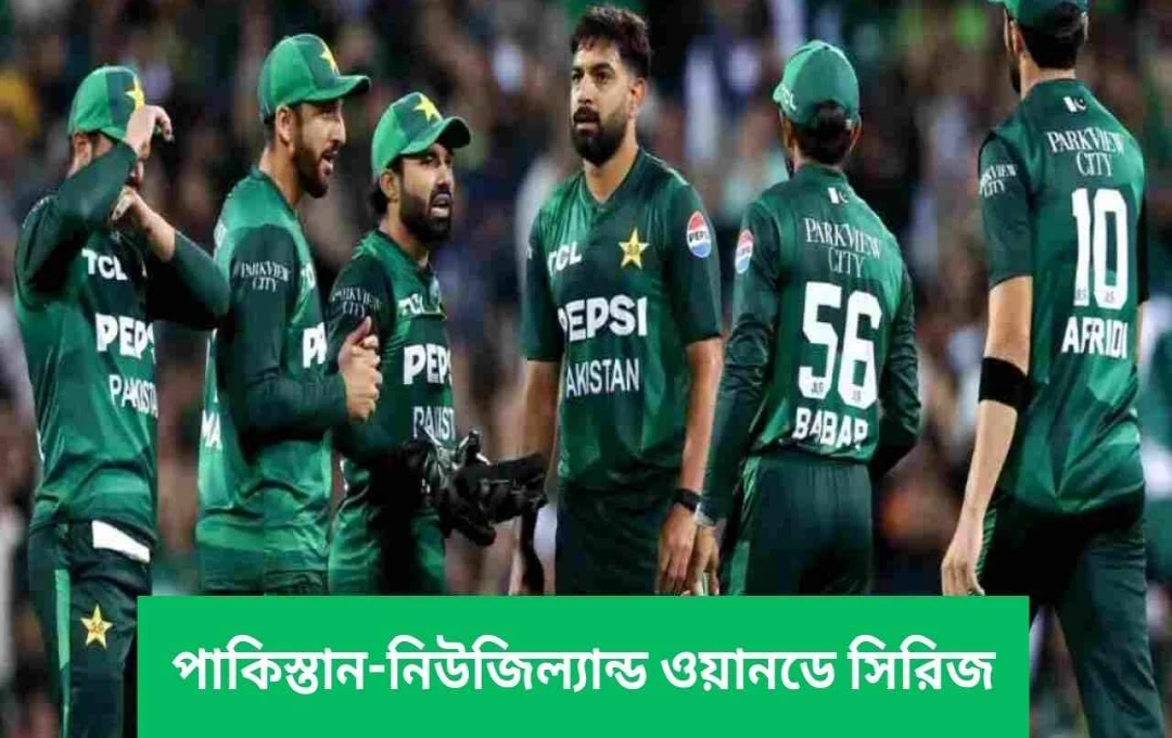 ওয়ানডে দলে হারিস রউফের ফিরে আসা: পাকিস্তানের নিউজিল্যান্ড সফর