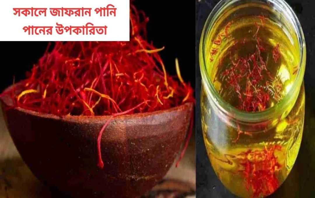 প্রতিদিন কেসরের জল পান করার ১০টি অসাধারণ উপকারিতা