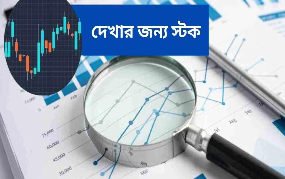 মূল্যবান শেয়ারগুলিতে বিনিয়োগকারীদের নজর