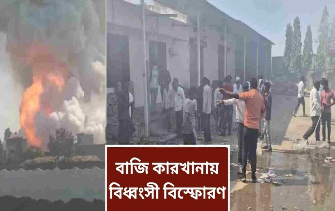 গুজরাটে পটকা কারখানার বিস্ফোরণে ১০ জন নিহত