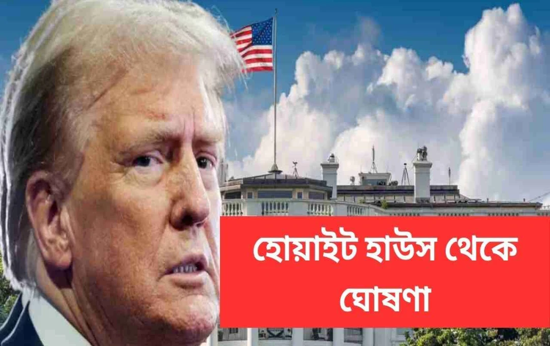 ট্রাম্পের ‘প্রতিশোধমূলক শুল্ক’: বিশ্ববাজারে তীব্র প্রভাব