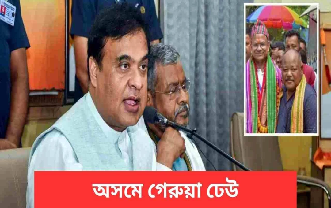 অসমের রাভা হাসোং পরিষদ নির্বাচনে এনডিএ-র 압도적 বিজয়