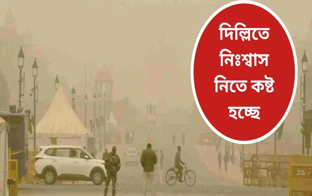 দিল্লির বর্জ্যে অগ্নিদুর্ঘটনার বৃদ্ধি: বায়ু দূষণের তীব্রতা বেড়েছে