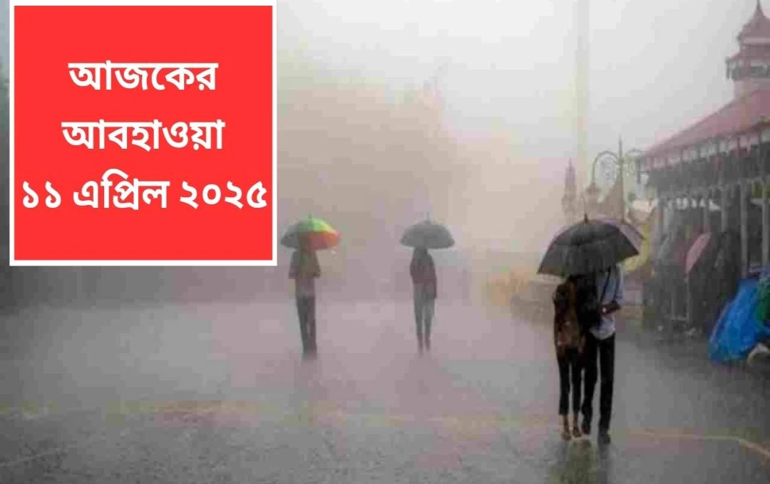 দেশজুড়ে আবহাওয়ার রূপান্তর: উত্তর ভারতে স্বস্তি, অন্যত্র বৃষ্টির সম্ভাবনা