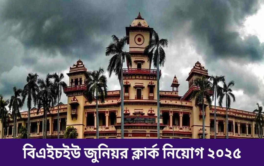 বেনারস হিন্দু বিশ্ববিদ্যালয়ের ১৯৯টি জুনিয়র ক্লার্ক পদের নিয়োগ
