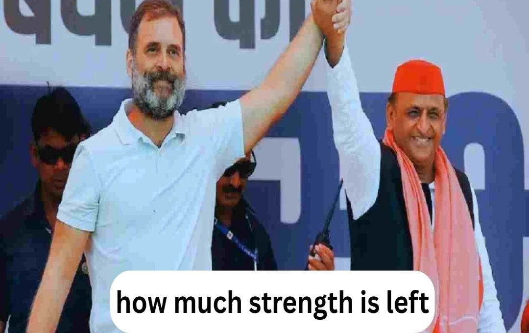 ২০২৭-এর উত্তরপ্রদেশ নির্বাচন: সমাজবাদী-কংগ্রেসের যৌথ কৌশল