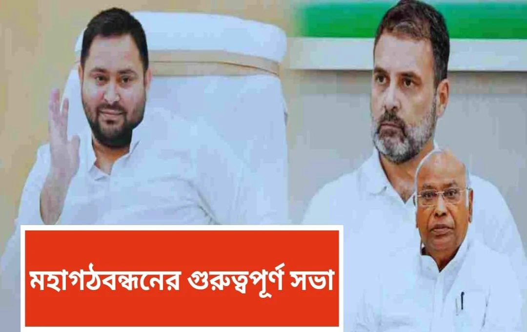 তেজস্বী যাদবের দিল্লি সফর: মহাগঠবন্ধনের ভবিষ্যৎ নিয়ে উত্তেজনা