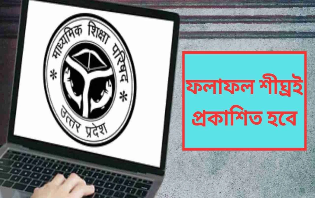 উপ বোর্ড ফলাফল ২০২৫: তারিখ, ওয়েবসাইট এবং প্রস্তুতি