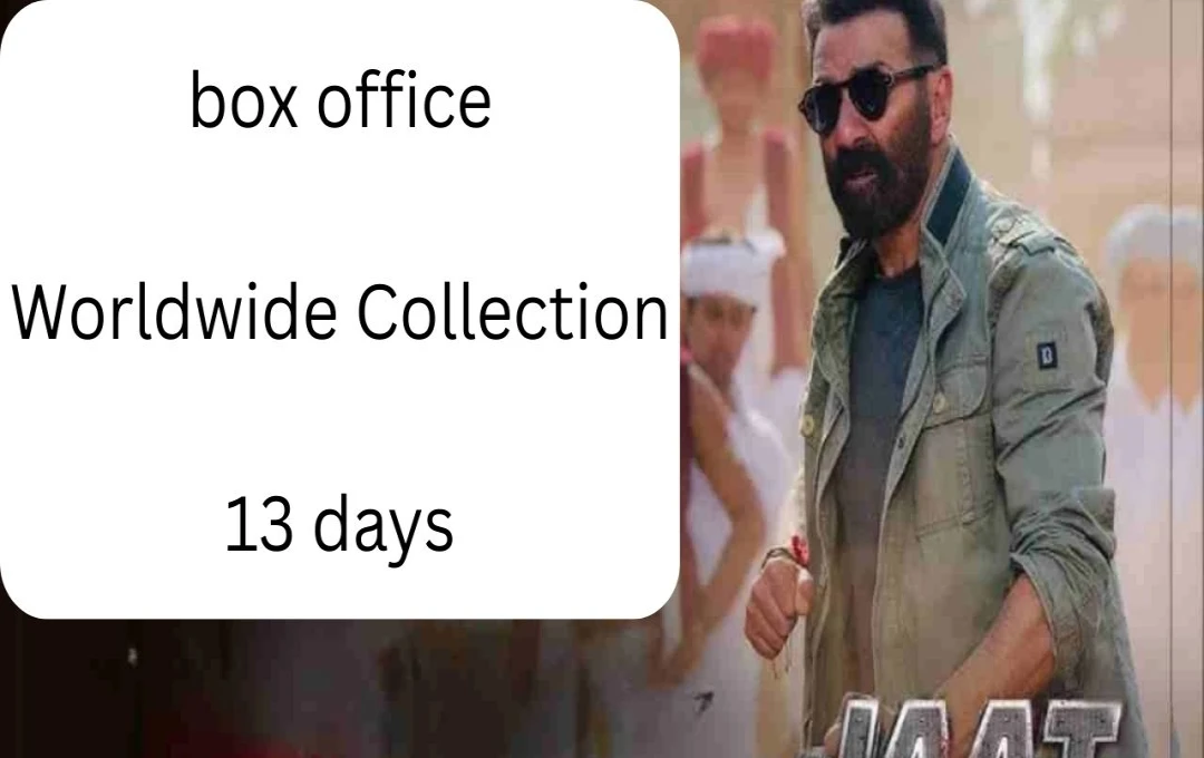 જાટ ફિલ્મ: 13મા દિવસે 100 કરોડથી વધુનું કલેક્શન
