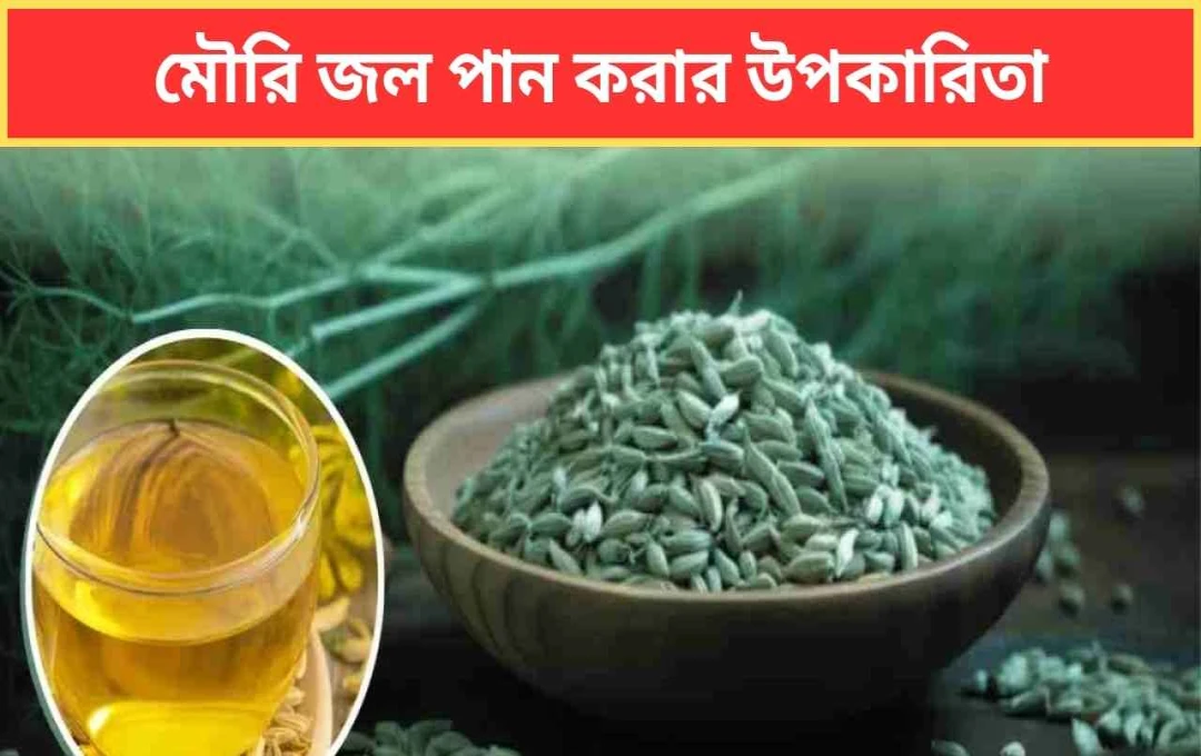 গ্রীষ্মের তীব্র তাপে মৌরি পানির অসাধারণ উপকারিতা