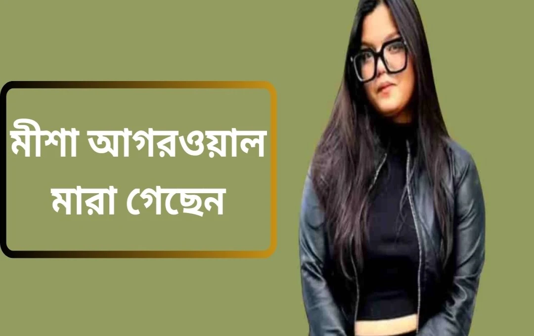 জনপ্রিয় কন্টেন্ট ক্রিয়েটর মিশা আগরওয়াল আর নেই